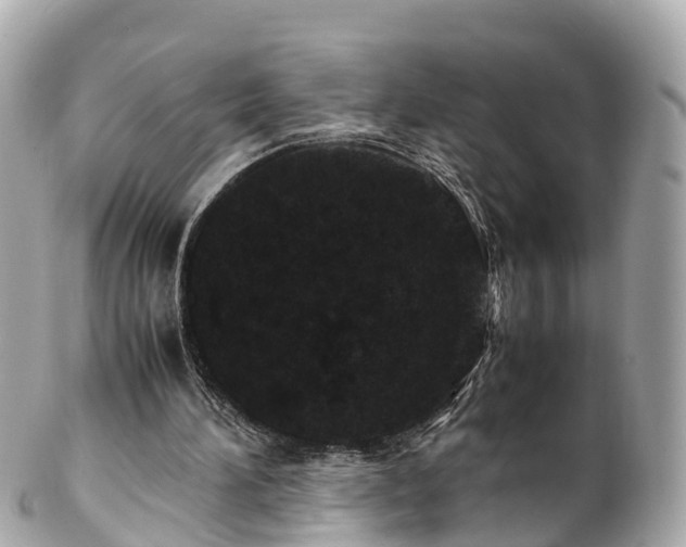 X0000102510196200808151555