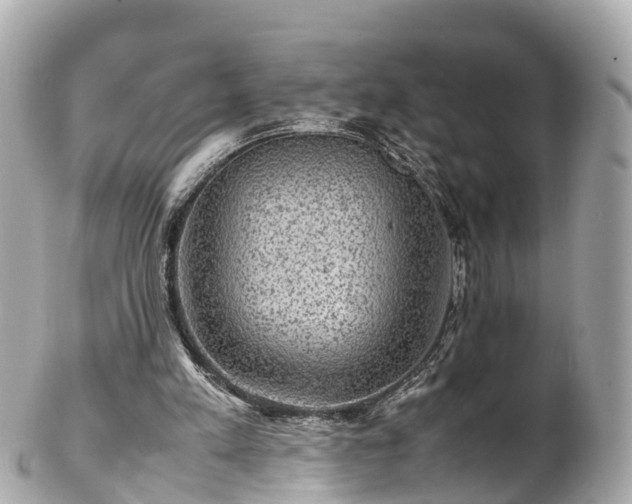 X0000102510197200808151555