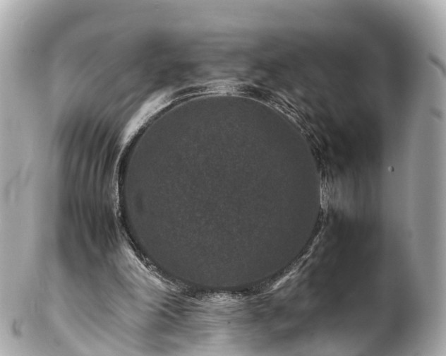 X0000102510198200808151555