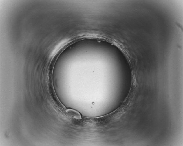 X0000102510199200808151555