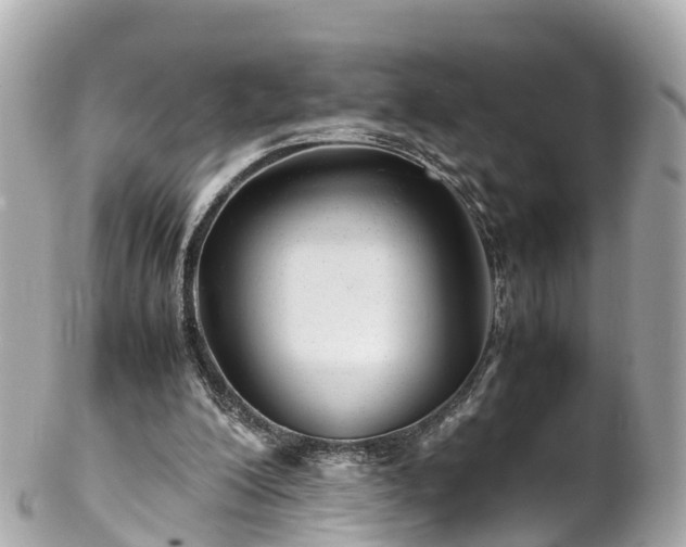 X0000102510200200808151555