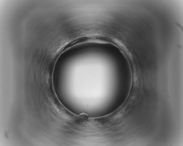 X0000102510201200808151555