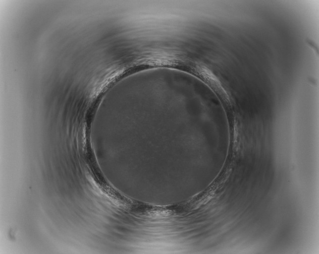 X0000102510202200808151555