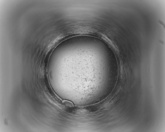 X0000102510203200808151555