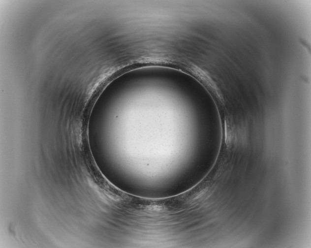 X0000102510204200808151555