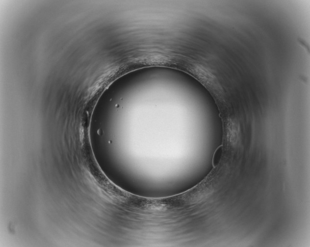 X0000102510206200808151555