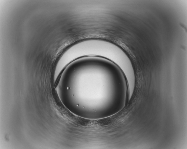 X0000102510207200808151555