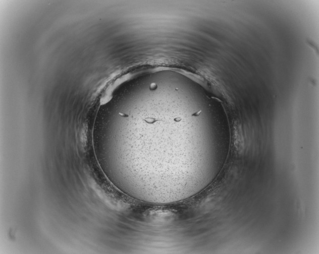 X0000102510208200808151555