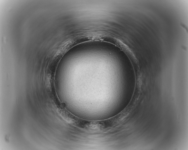 X0000102510209200808151555