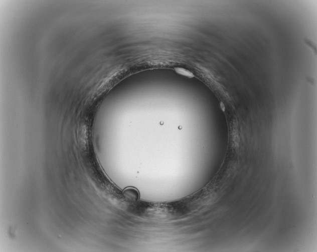 X0000102510211200808151555