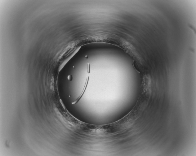 X0000102510212200808151555