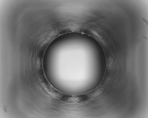 X0000102510213200808151555