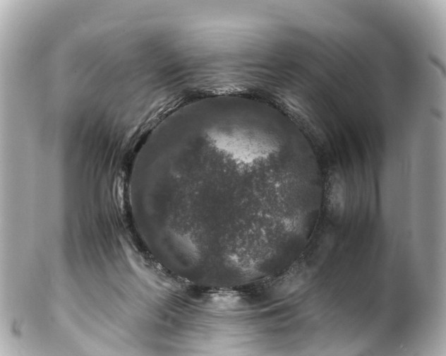 X0000102510214200808151555