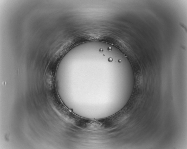 X0000102510215200808151555