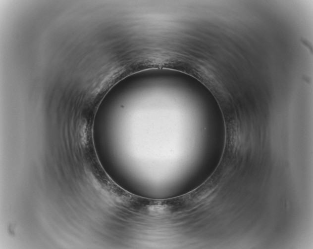 X0000102510216200808151555