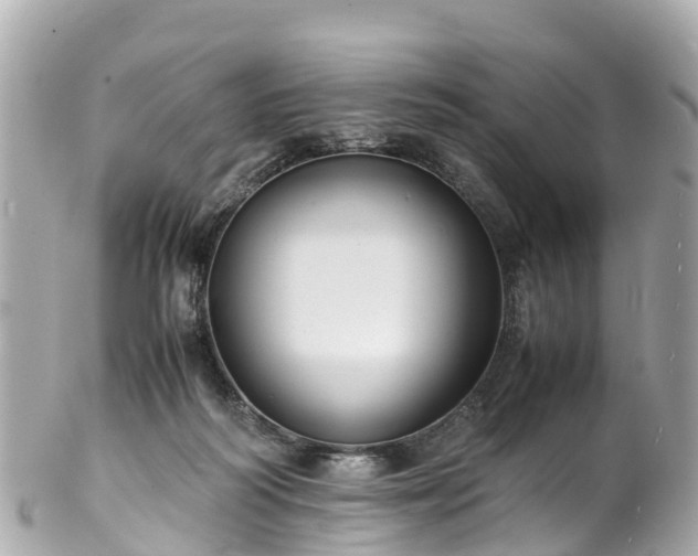 X0000102510218200808151555