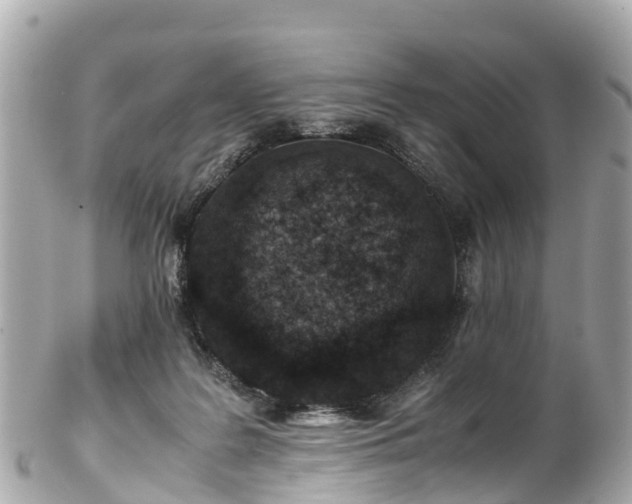 X0000102510219200808151555