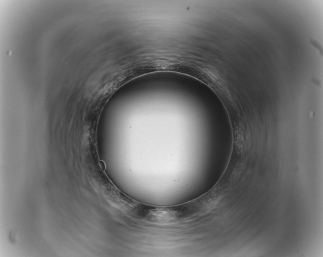 X0000102510221200808151555
