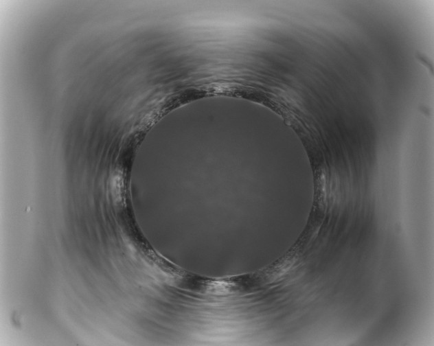 X0000102510222200808151555