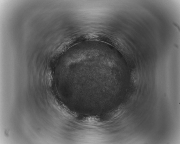 X0000102510223200808151555