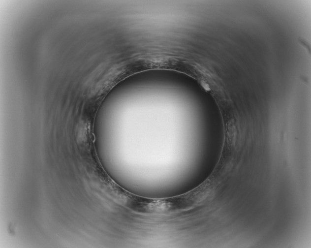 X0000102510225200808151555