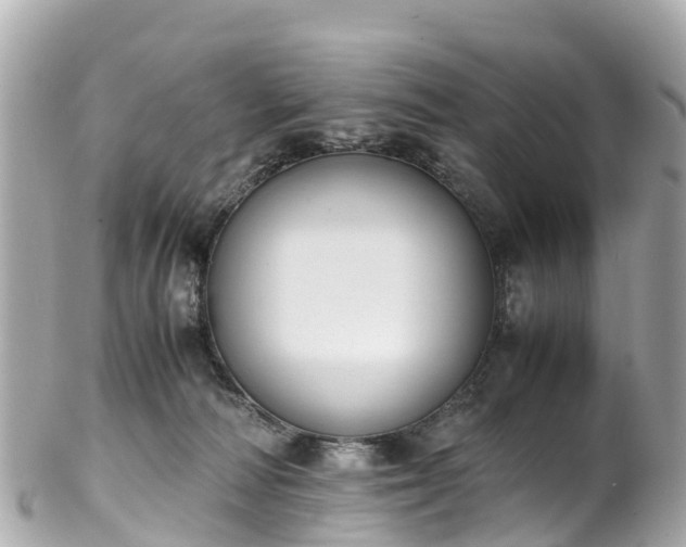 X0000102510226200808151555