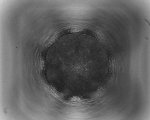 X0000102510227200808151555