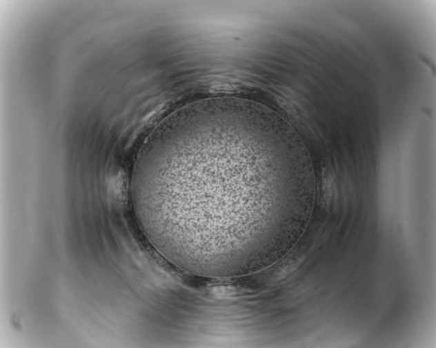 X0000102510228200808151555
