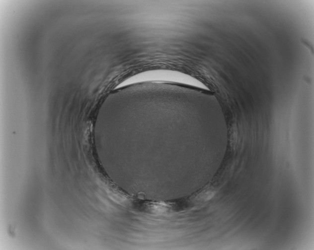 X0000102510229200808151555