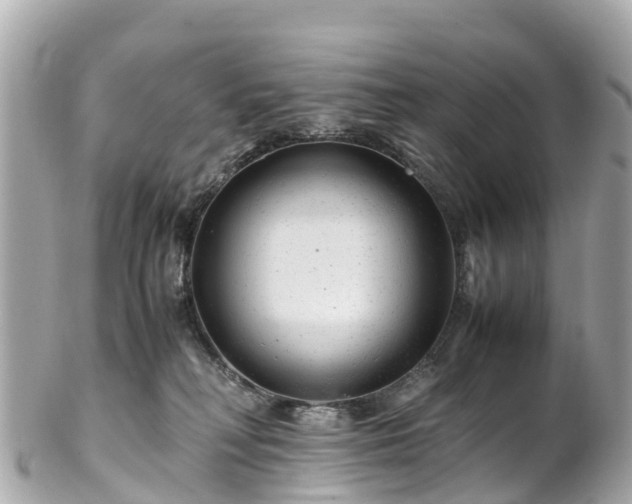 X0000102510230200808151555