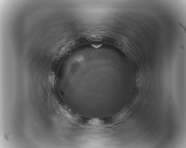 X0000102510231200808151555
