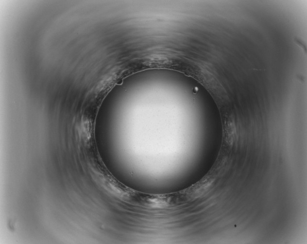 X0000102510232200808151555