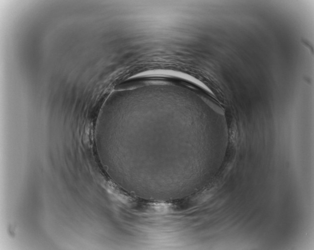 X0000102510233200808151555