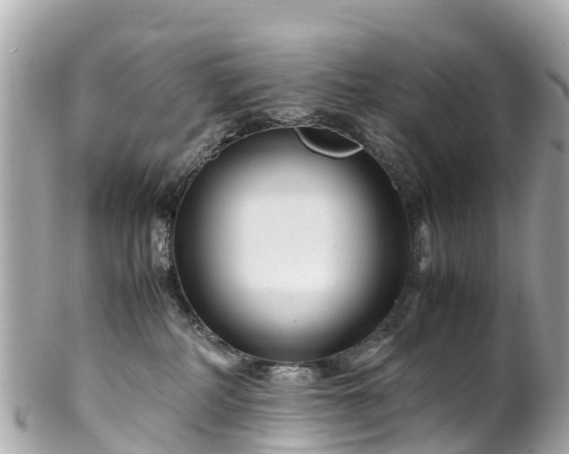 X0000102510234200808151555