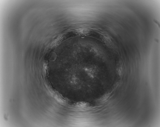 X0000102510235200808151555