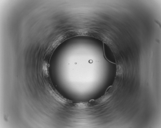X0000102510238200808151555