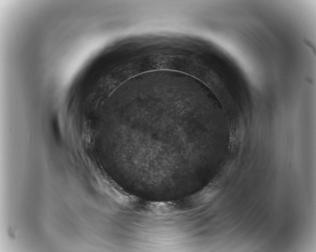 X0000102510239200808151555