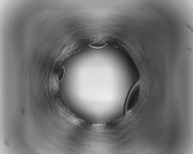 X0000102510240200808151554