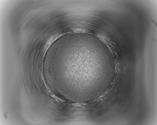 X0000102510241200808151553