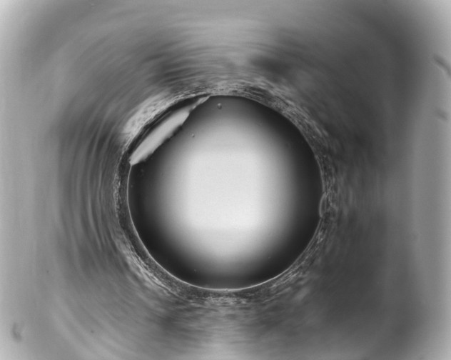 X0000102510242200808151553