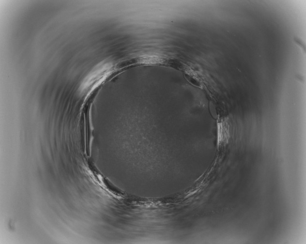 X0000102510243200808151554