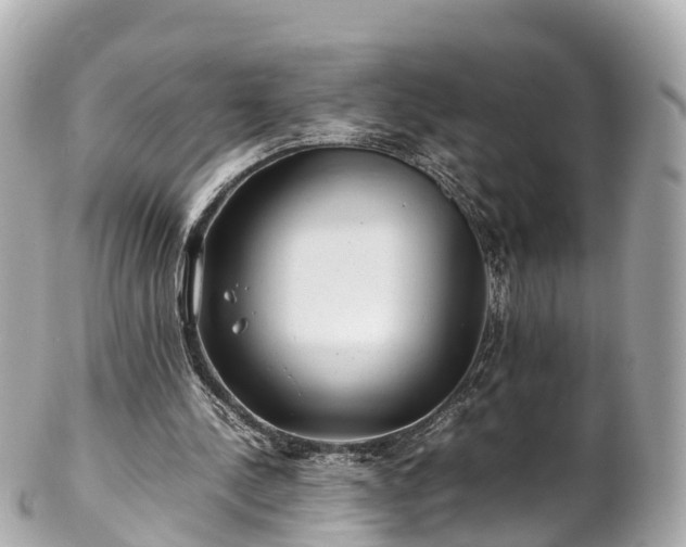X0000102510244200808151554