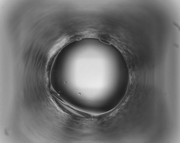 X0000102510245200808151554
