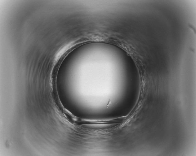 X0000102510246200808151554