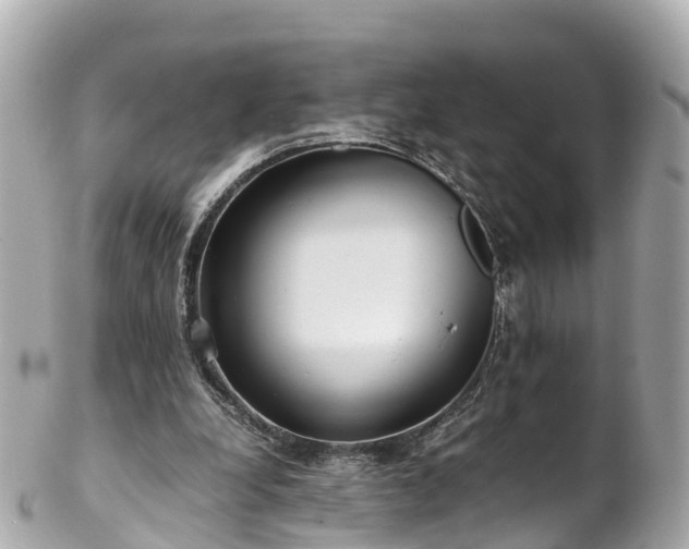 X0000102510248200808151554