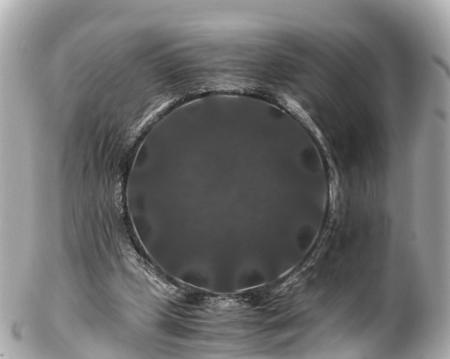 X0000102510249200808151554