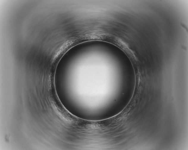 X0000102510250200808151554