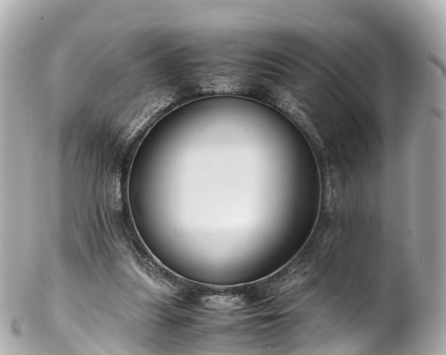 X0000102510251200808151554