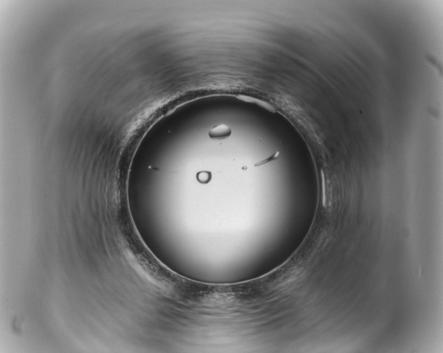 X0000102510252200808151554