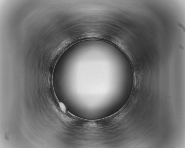 X0000102510253200808151554